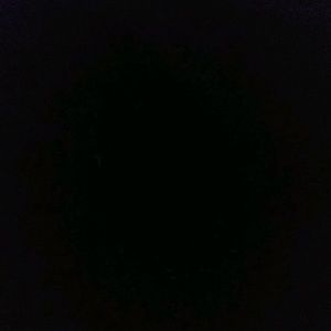 Meet your Posher, Travis